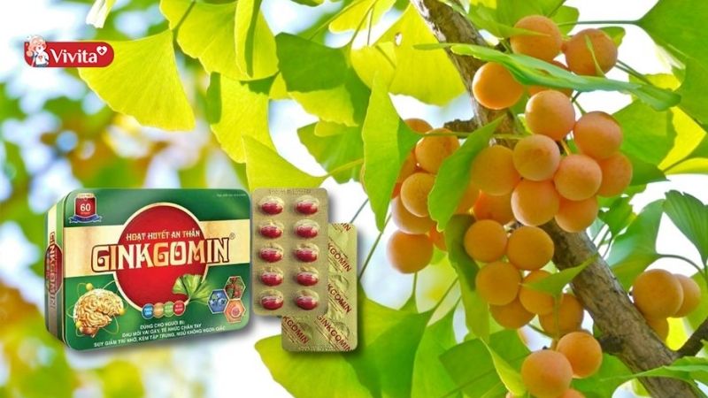 Viên uống Hoạt Huyết An Thần Ginkgomin (Hộp 60 viên)