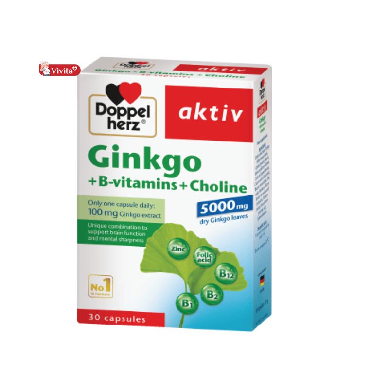 Doppelherz Aktiv Ginkgo + Vitamin B + Choline Đức