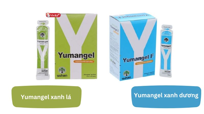 Giới thiệu về thuốc dạ dày chữ Y