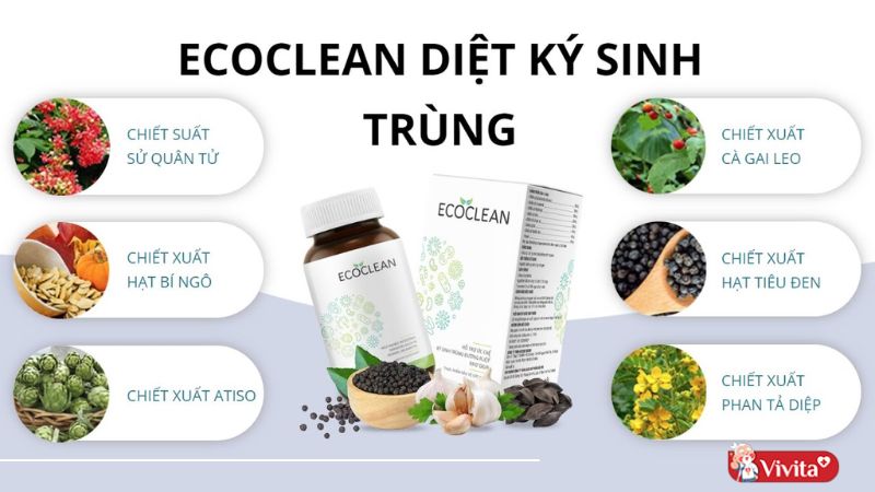 Thành phần trong mỗi viên uống Ecoclean