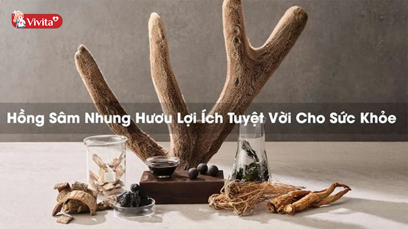 Hồng Sâm nhung hươu Hàn Quốc loại nào tốt