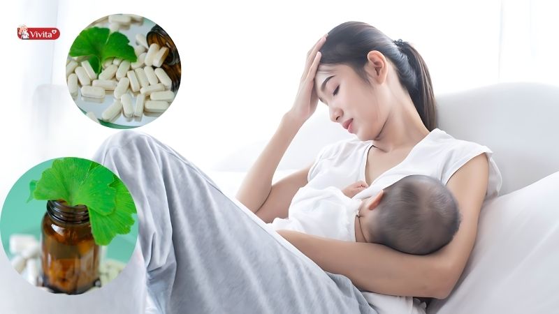 Cho con bú có uống được Ginkgo Biloba không?