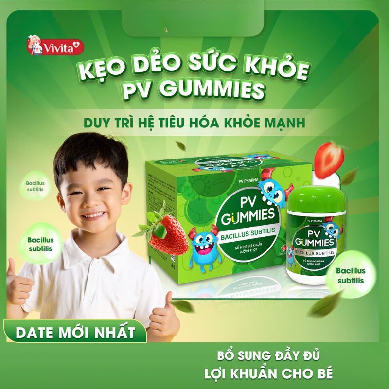 Thành phần chính của PV Gummies Bacillus Subtilis