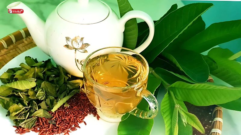 Uống nước lá ổi có tốt cho sức khỏe không?