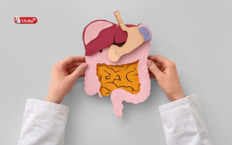Rối loạn tiêu hóa ở trẻ em là gì?